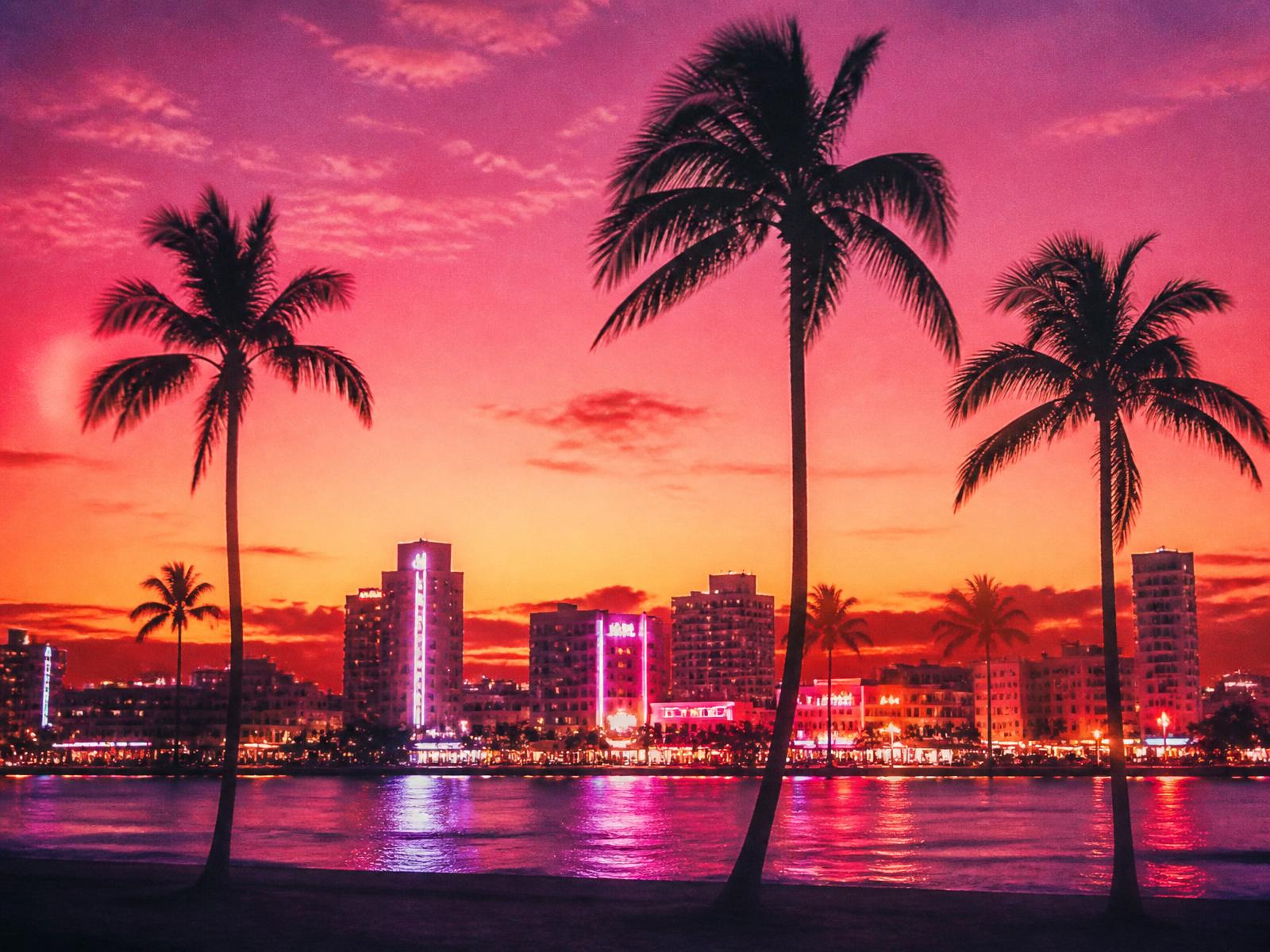 Miami skyline at sunset with palm trees